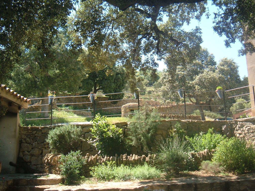 דירות Todolella Masico Santana מראה חיצוני תמונה